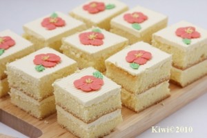 [Image: IMG_9318-300x200.jpg]