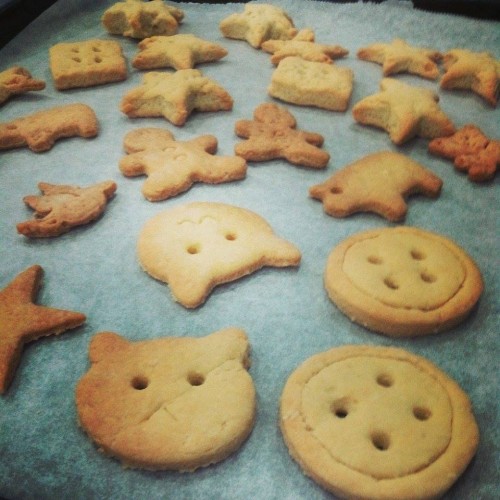 Bánh quy tạo hình so cute